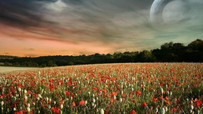 为什么有些人不喜欢春晚提到饺子？